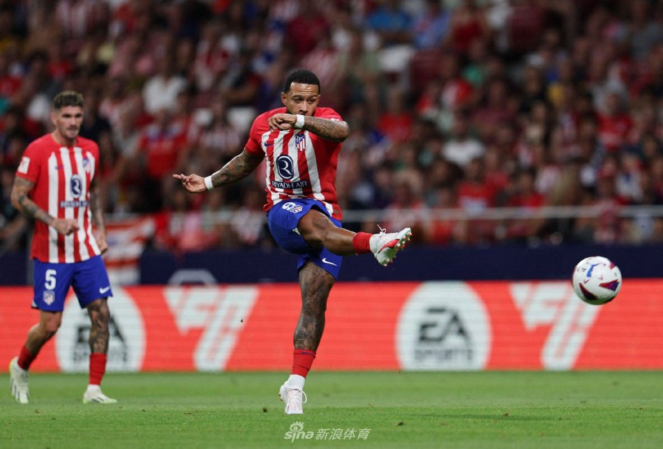 不仅提高了 不仅提高了